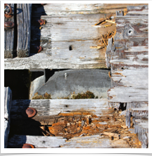 Chincoteague Dock - Questionable Chincoteague Dock - Questionable